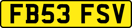 FB53FSV