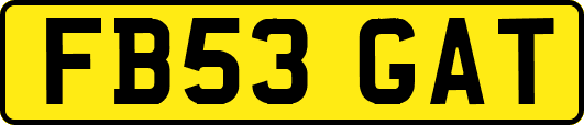 FB53GAT