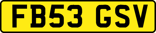 FB53GSV