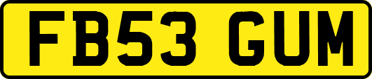FB53GUM