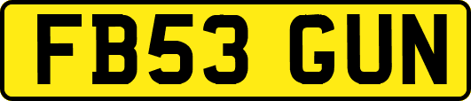 FB53GUN