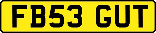 FB53GUT