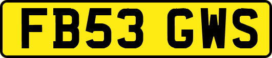 FB53GWS