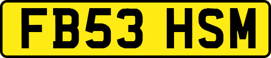 FB53HSM