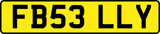 FB53LLY