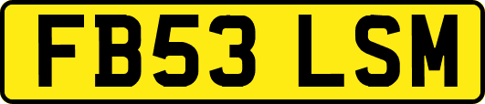 FB53LSM