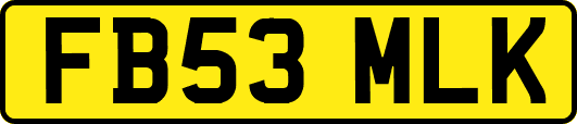 FB53MLK