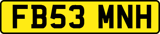 FB53MNH