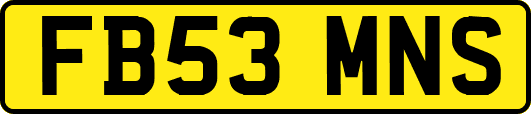 FB53MNS