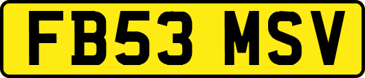 FB53MSV