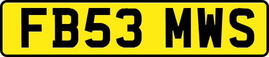 FB53MWS