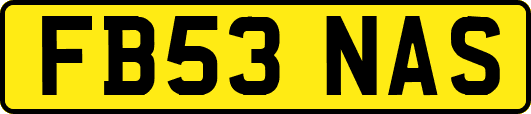 FB53NAS