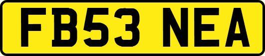 FB53NEA