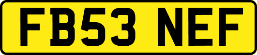 FB53NEF
