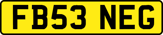 FB53NEG