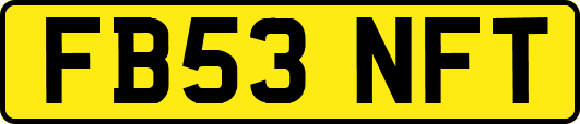 FB53NFT
