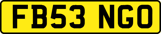 FB53NGO