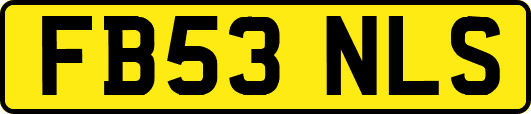 FB53NLS