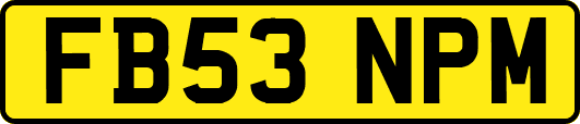 FB53NPM