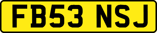 FB53NSJ