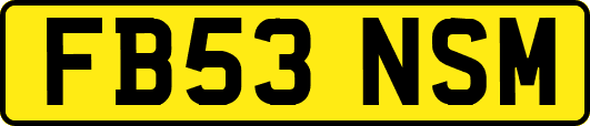 FB53NSM