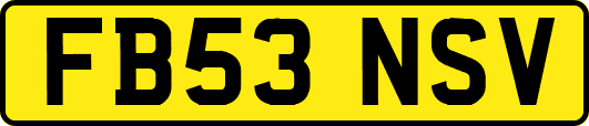 FB53NSV