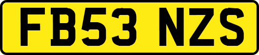 FB53NZS