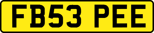 FB53PEE
