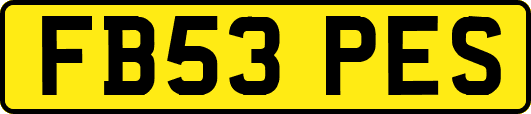 FB53PES