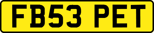 FB53PET