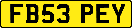 FB53PEY