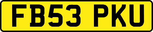 FB53PKU