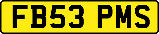 FB53PMS