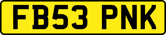 FB53PNK