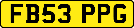 FB53PPG