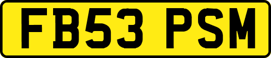 FB53PSM