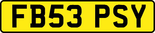 FB53PSY