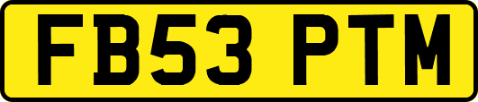 FB53PTM