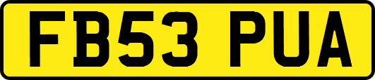 FB53PUA