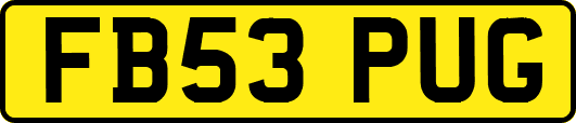 FB53PUG
