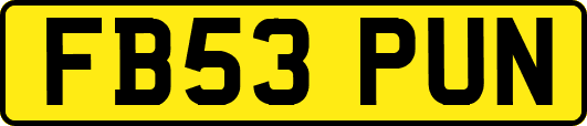 FB53PUN