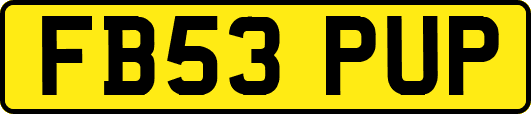 FB53PUP