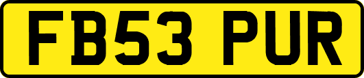 FB53PUR