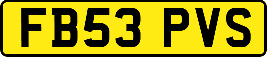 FB53PVS