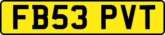 FB53PVT
