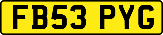 FB53PYG