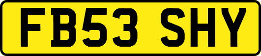FB53SHY