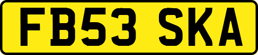 FB53SKA