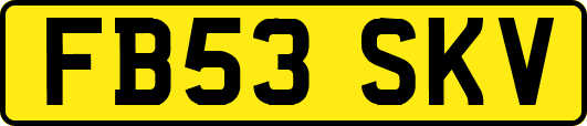 FB53SKV
