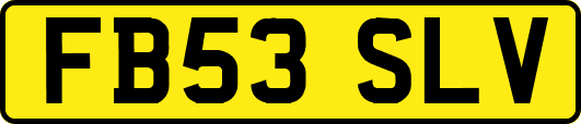FB53SLV
